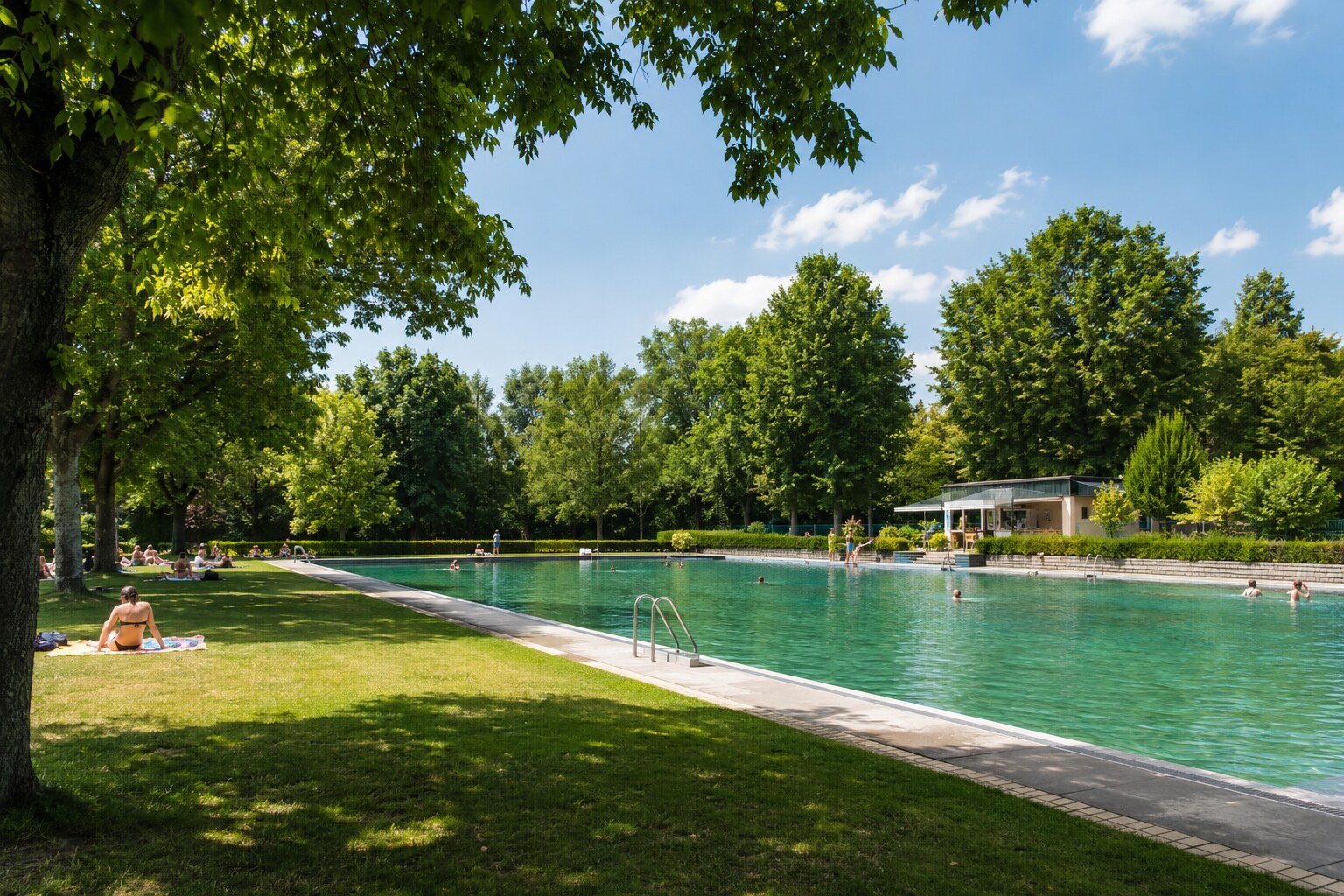 Redaktionelle Illustration eines grünen Freibads mit Liegewiese und altem Baumbestand