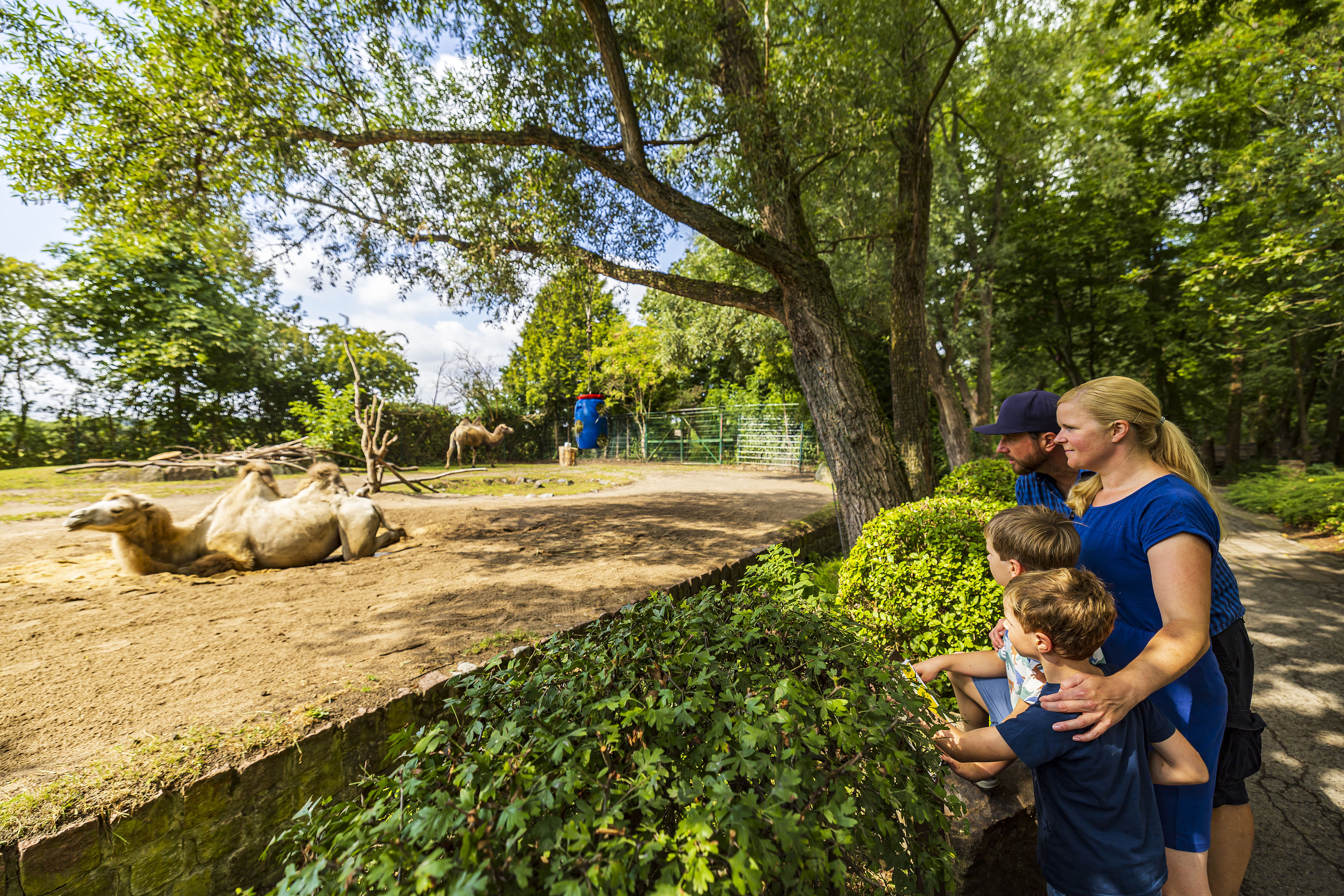 Familie beobachtet Tiere an einem Gehege im Tierpark Hamm